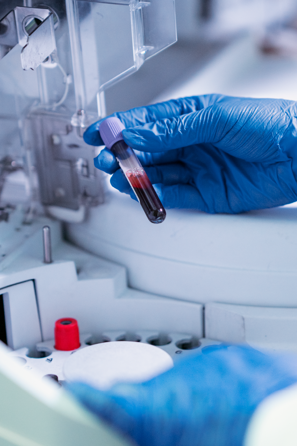 Mesa de trabajo 9 copia